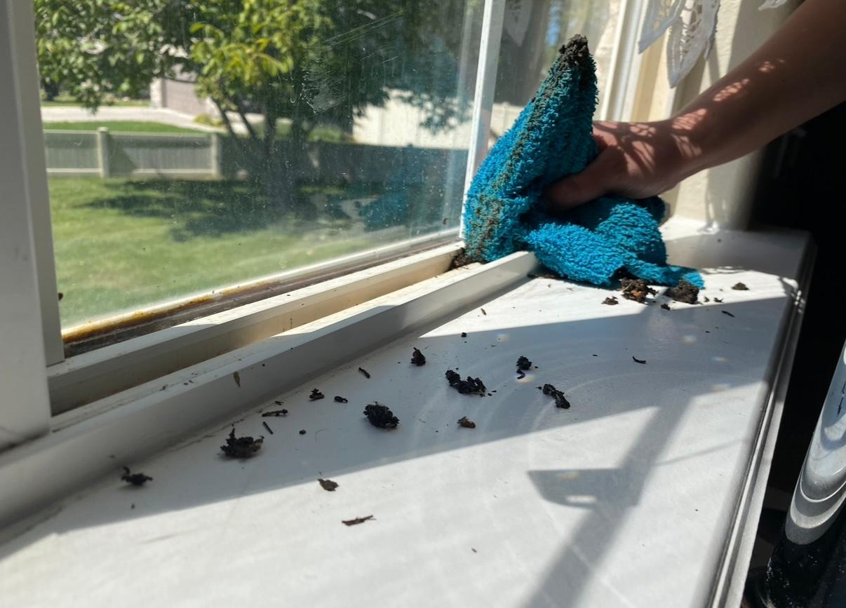 Deep Cleaning