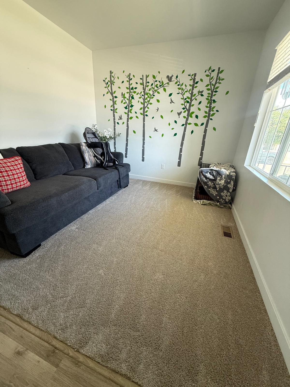 Looks Amazing Cleaning project photo 9